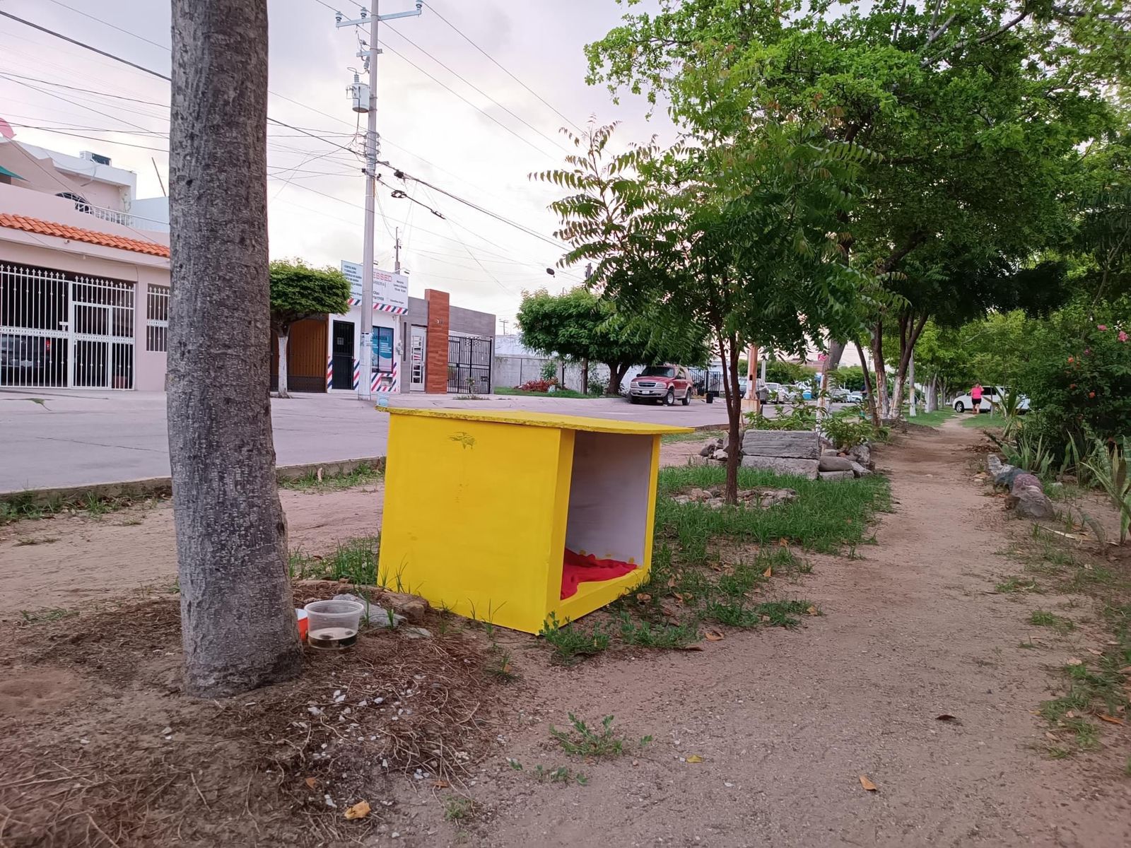 casas para perro sin hogar en Mazatlán