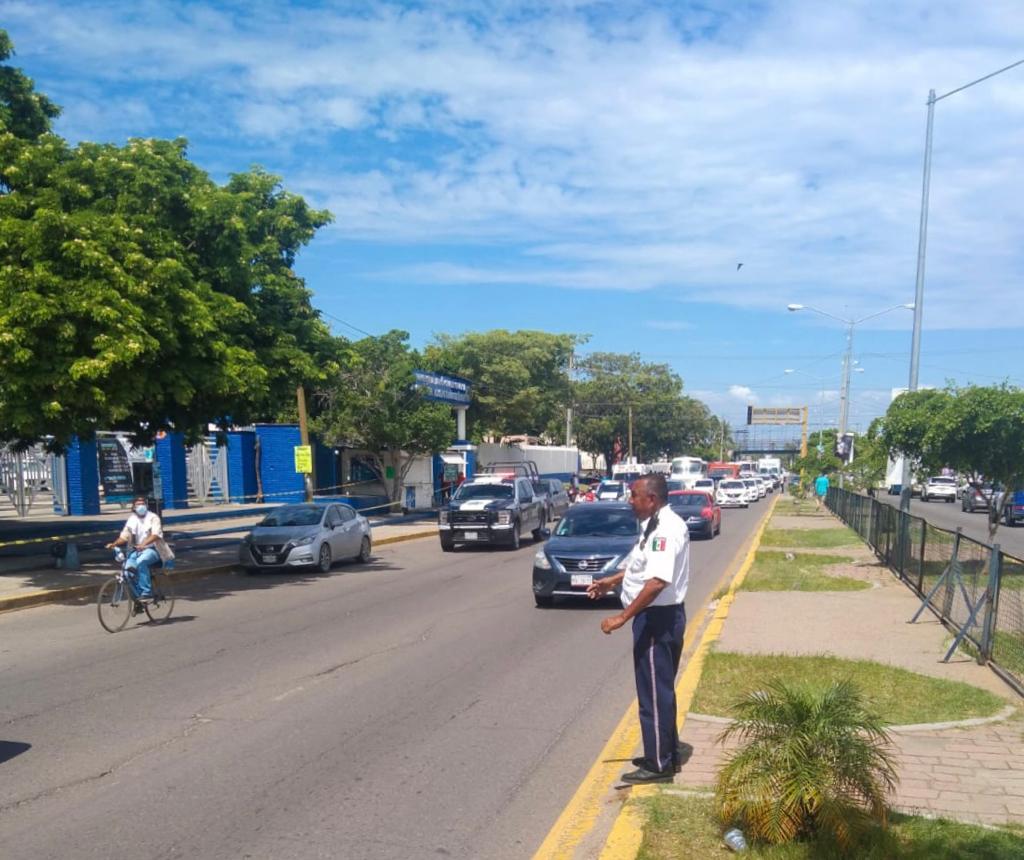 Ataque de abejas en campus universitario de la UAS deja 7 lesionados