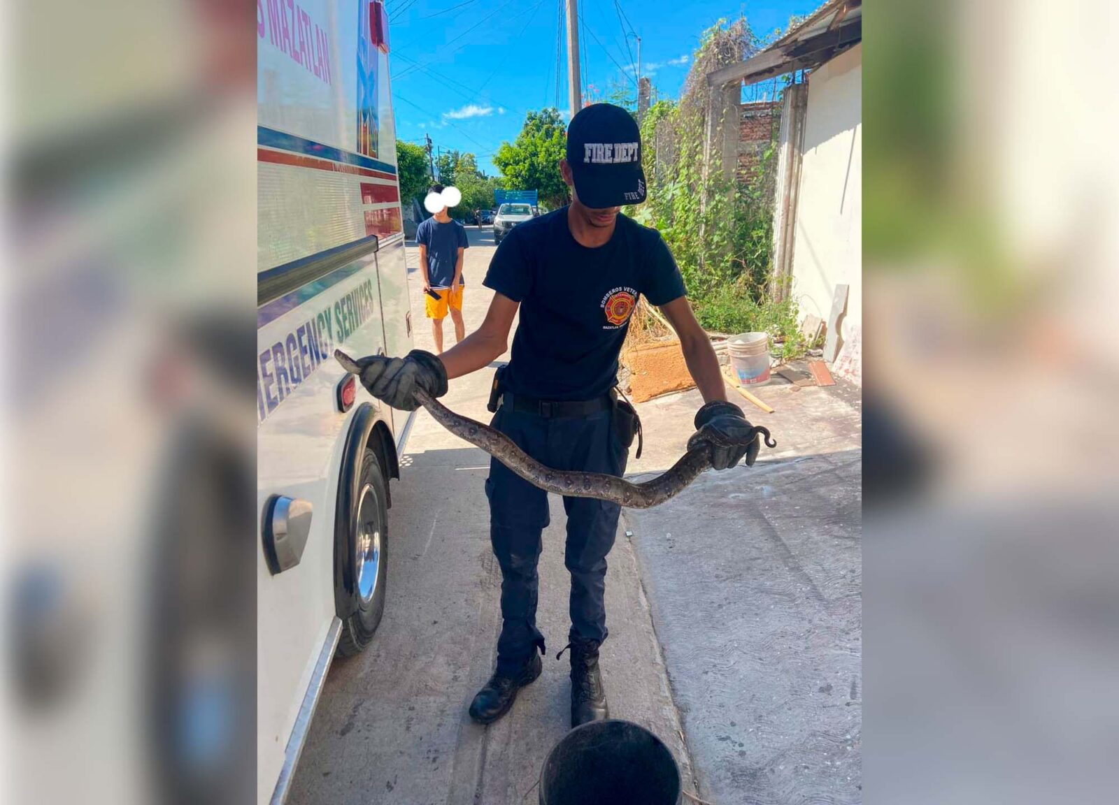 Bomberos sacan de una casa una serpiente en la Francisco Villa en Mazatlán