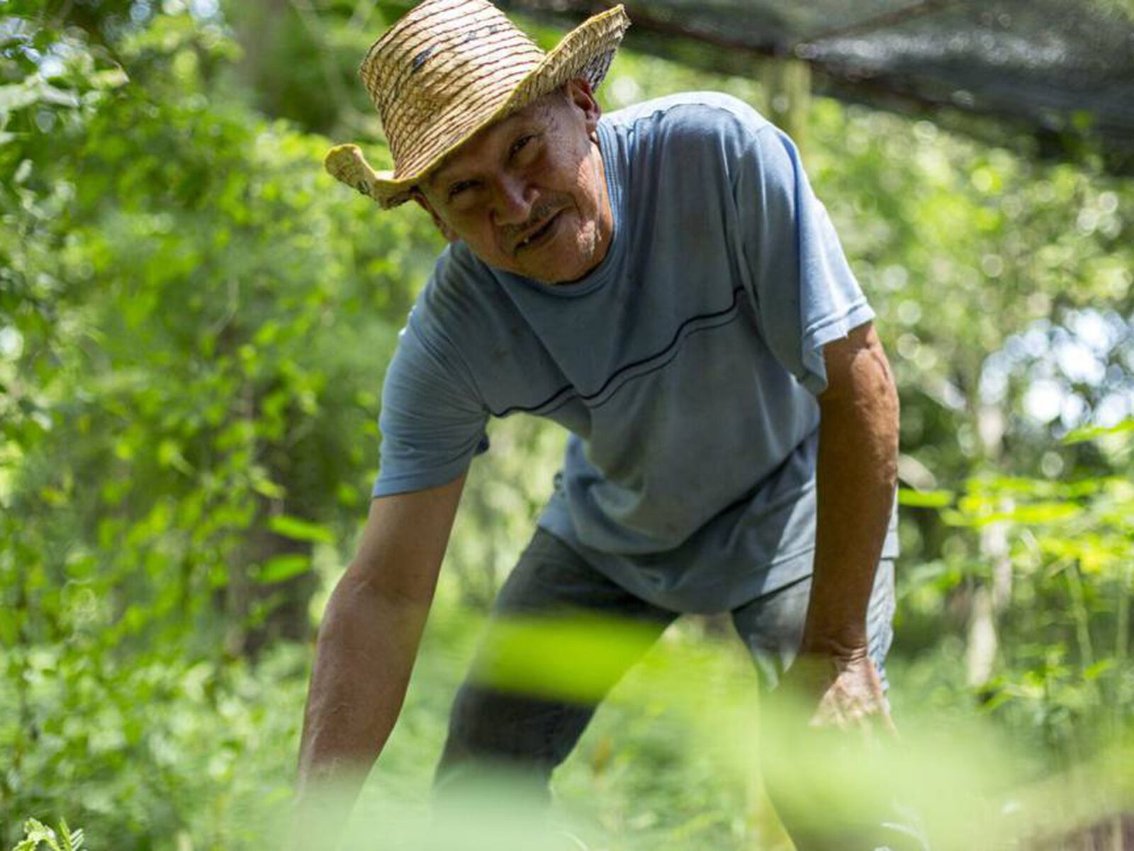 Campesino