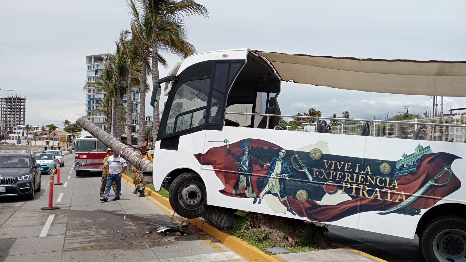 Choca camión de turismo contra palmera en pleno malecón de Mazatlán (Luis Zatarain)