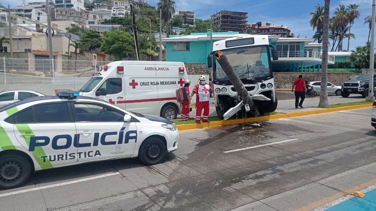 Choca camión de turismo contra palmera en pleno malecón de Mazatlán (Luis Zatarain)