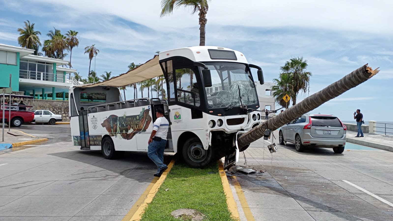 Choca camión de turismo contra palmera en pleno malecón de Mazatlán (Luis Zatarain)
