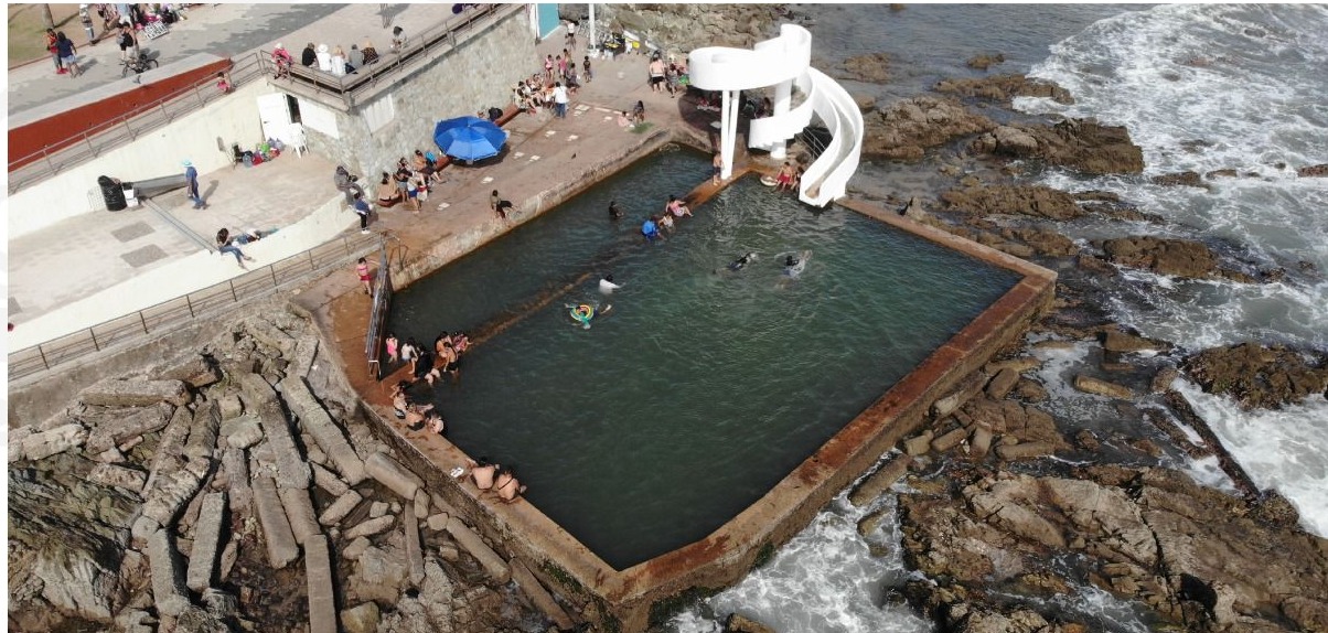 Entra a cirugía la carpa Olivera de Mazatlán, una de las albercas emblemáticas del mundo (cortesía).