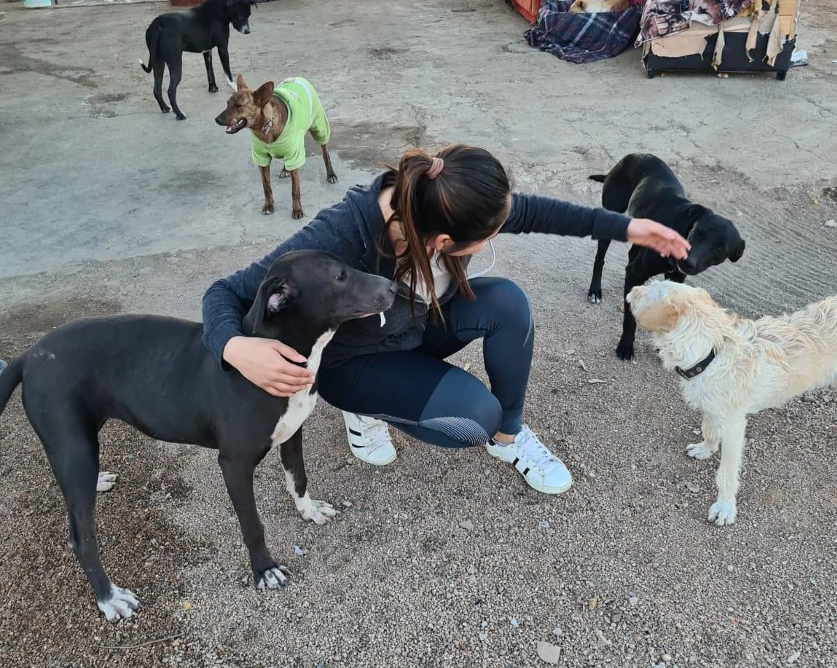 Fundación Mayla enfrenta problemas con el abandono de animales en el centro de bienestar (Lucy Luna).