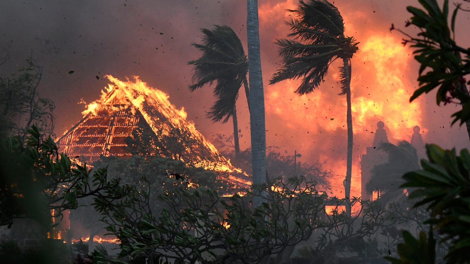 Incendio en la isla de Maui (cortesía)