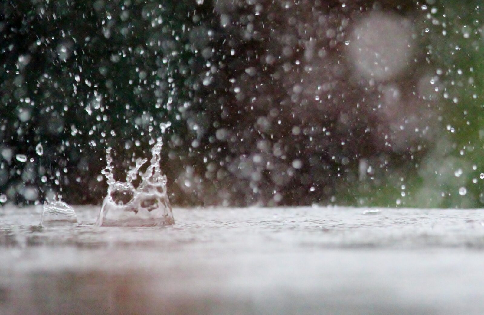 Lluvias. Foto de Ilustración