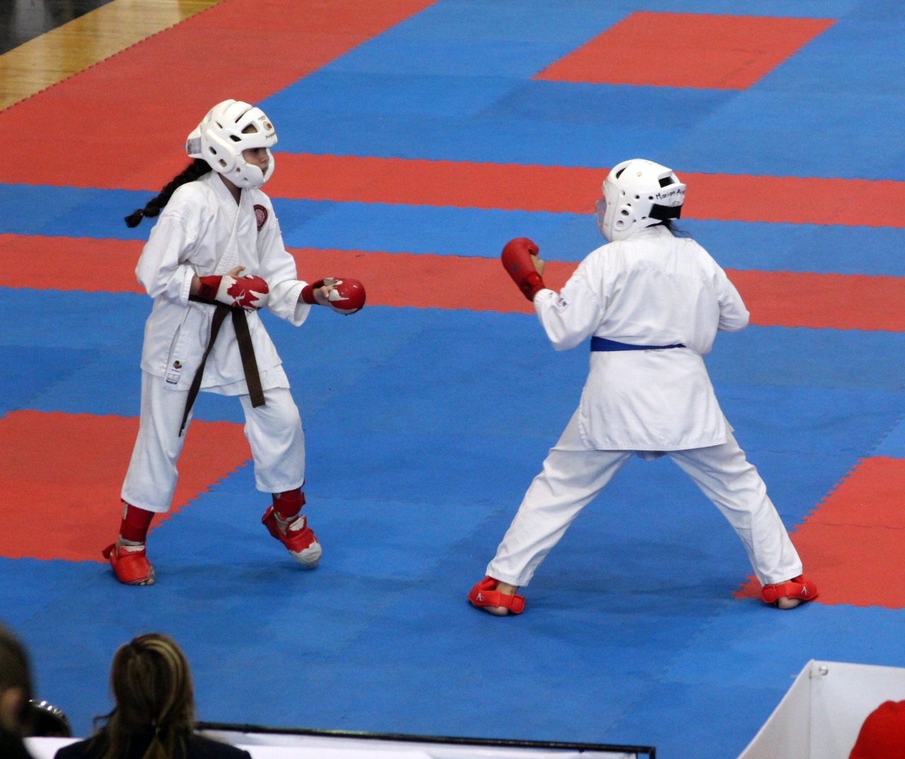 Karate Do Los Mochis Serie MX