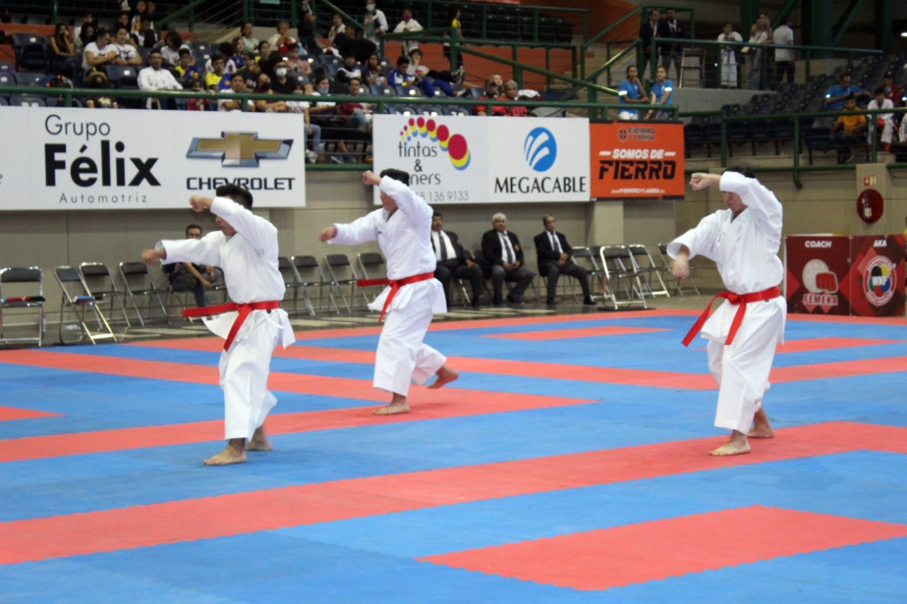 Karate Do Los Mochis Serie MX