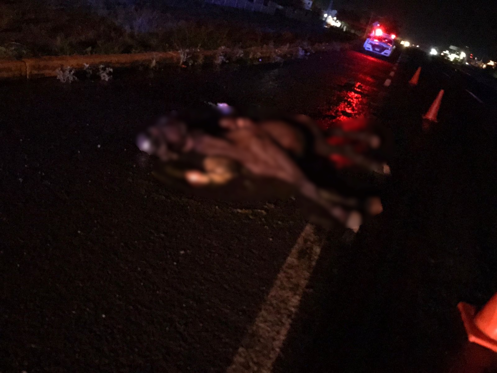 Mueren dos caballos al ser impactados por un automóvil a la salida norte de Guamúchil
