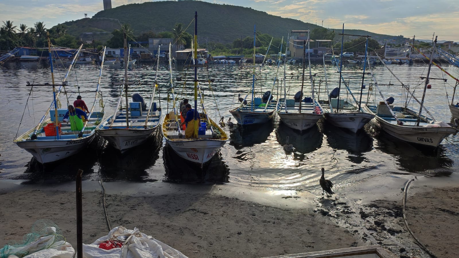 Pescadores piden les llegue el Bienpesca estatal, Secretaría de Pesca les pide paciencia: si les va a llegar, asegura