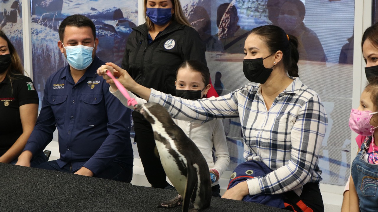 Premian con visita al Acuario y convivencia con pingüinos a ganadores del concurso nacional ‘Por Mi Bienestar’ (cortesía)