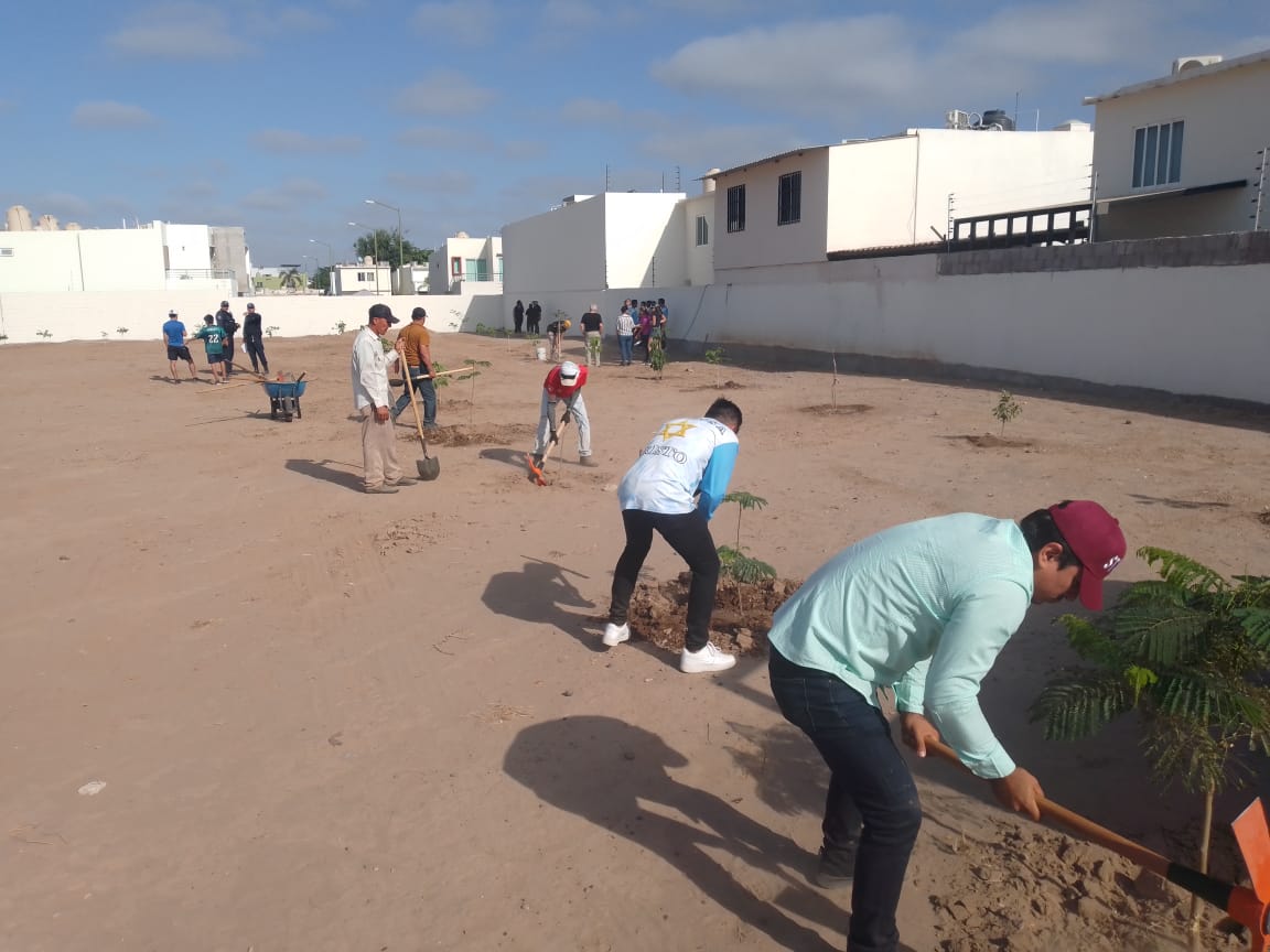 Realizan labores de limpieza, mantenimiento y arborización en sector Valle Alto, en Culiacán