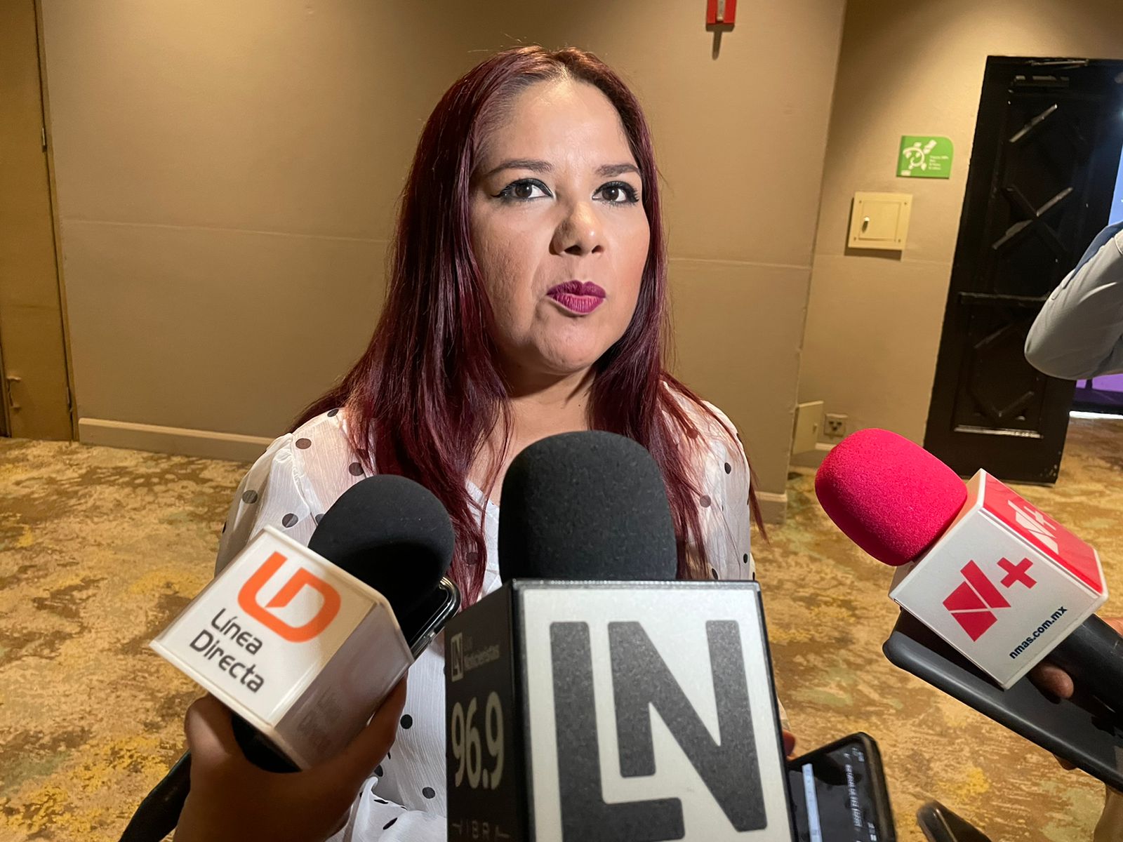 Revelan organismos de medición de Paz que hubo aumento de denuncias y llamadas por violencia familiar (,Lo Noticieristas)