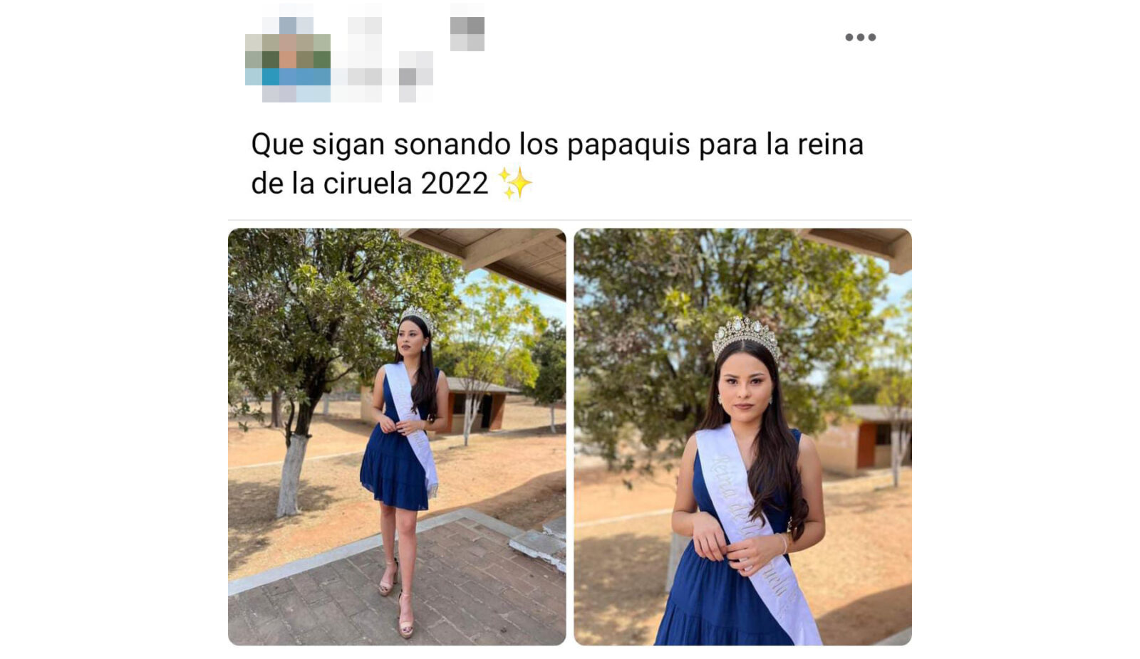 Concordia, Sinaloa, Feria de la Ciruela, protesta, desaparición, Aimé Joanna,