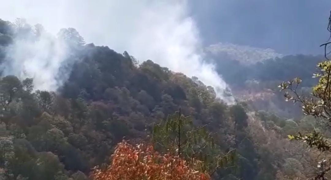 'Está muy fea la lumbre otra vez', arde de nuevo sierra de Concordia, moviliza a unas 50 personas incendio en sierra de Concordia